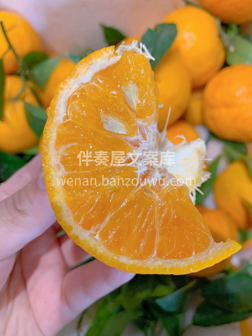 初入口便带着阳光??的味道，那瞬间在口中 配图3