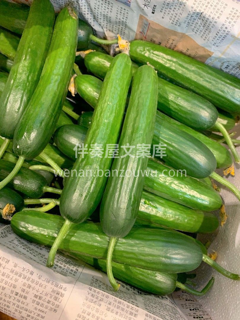 🌱 生活需要一点小仪式感✨ 每日鲜果，简单而丰盛🍎🍌🥝 无论 配图5