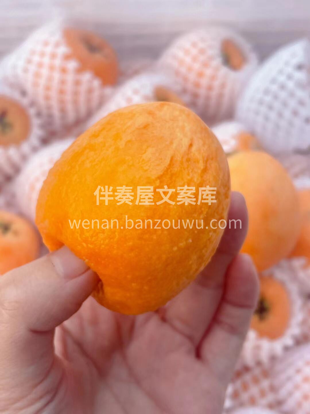 枇杷，是双润的味道🧡 快来抢占这第一口甜 配图2
