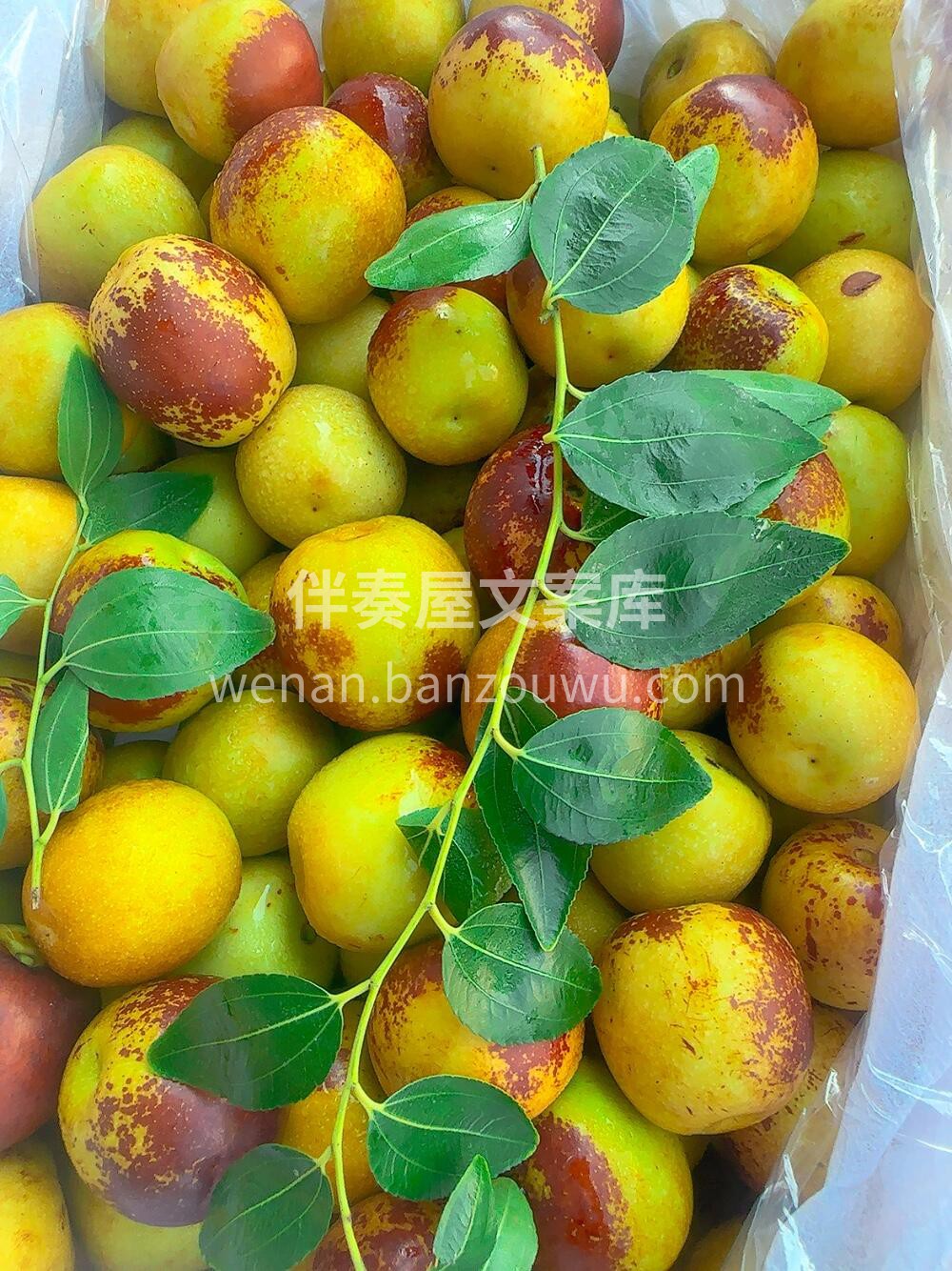 💕 延续甜蜜，秋天的第一口蜜甜😍 秋季人 配图3