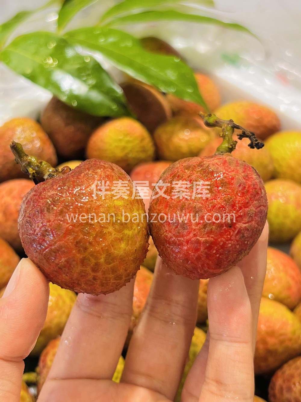 桂香撞上荔枝甜‼️ 🍭咬开瞬间像跌进南方 配图1