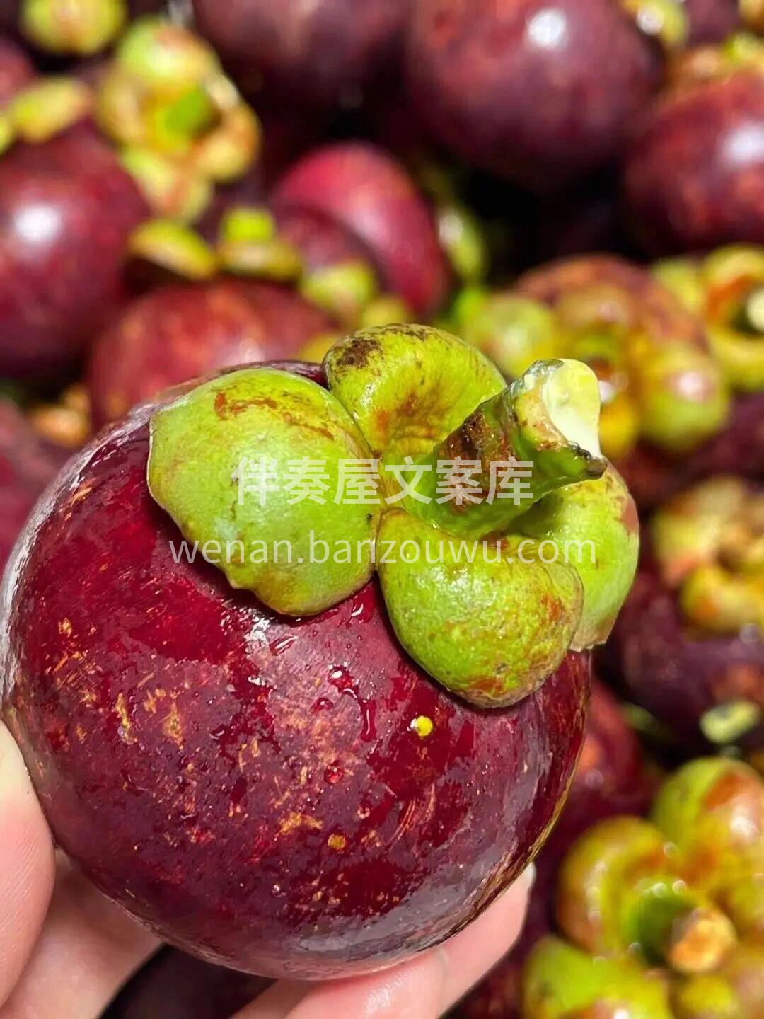 这么热的天，老树山竹安排上👏 🌈新鲜好剥 配图3