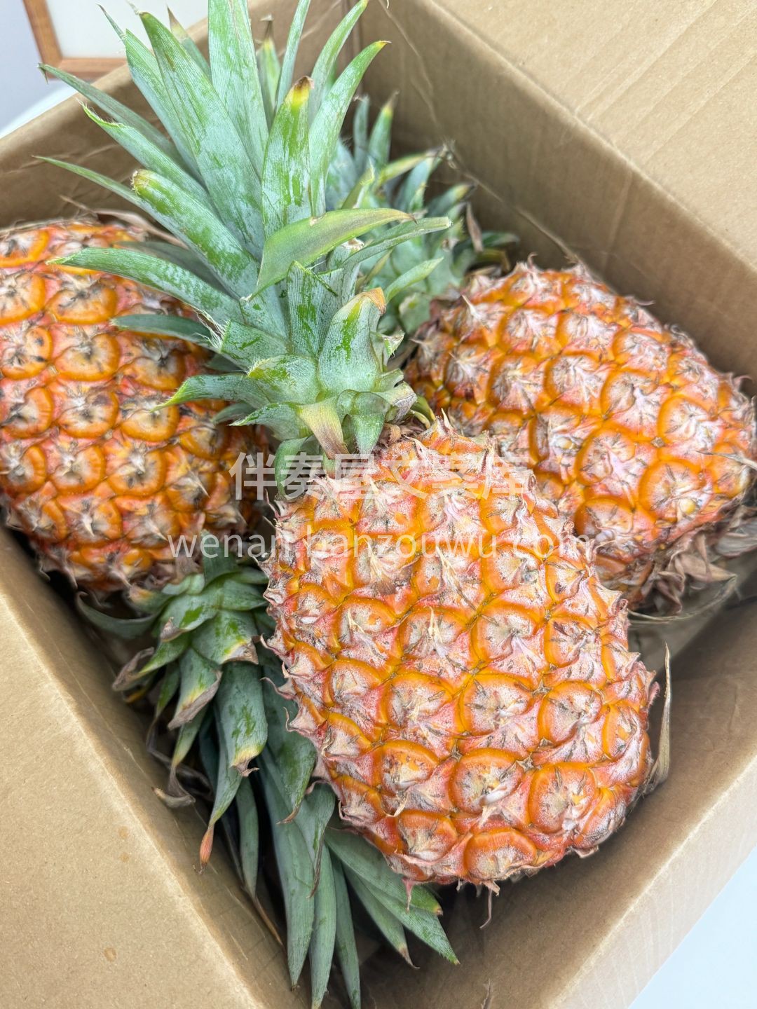 🍍【春日热带风情感拉满‼️凤梨甜爆啦】  配图1