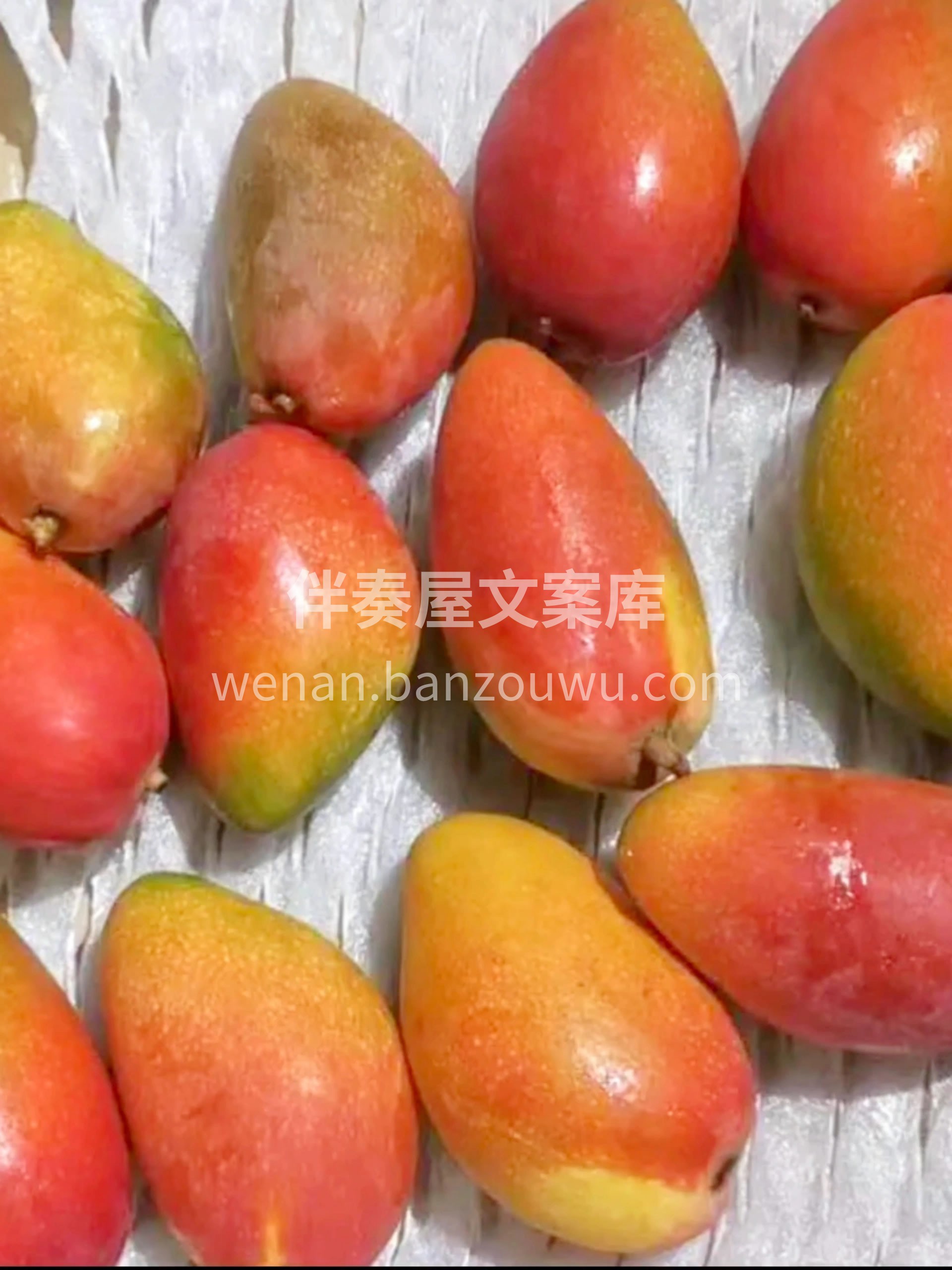 🥭贵妃芒就是emoji表情里的芒果本芒😍 配图3