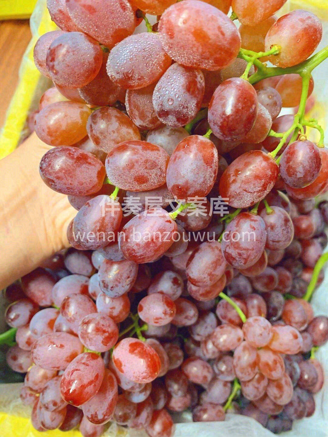一颗颗红提饱满紧实🍇皮薄如纸，果肉晶莹剔 配图3