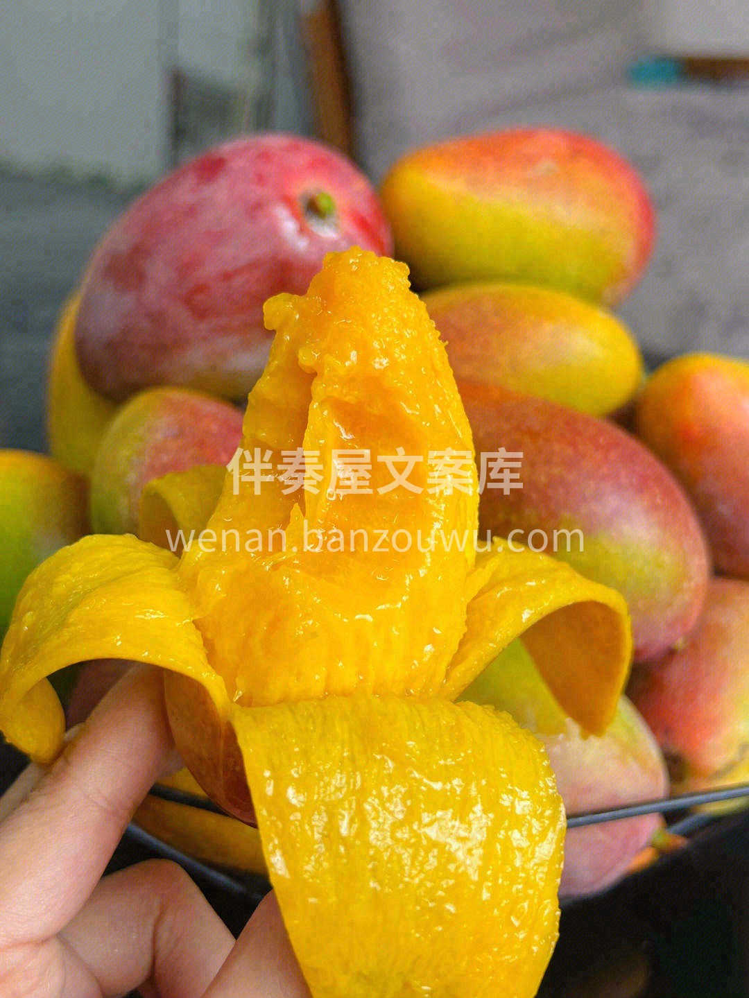 上新🎉贵妃芒🥭 外观像象牙，长得纤长，果 配图1