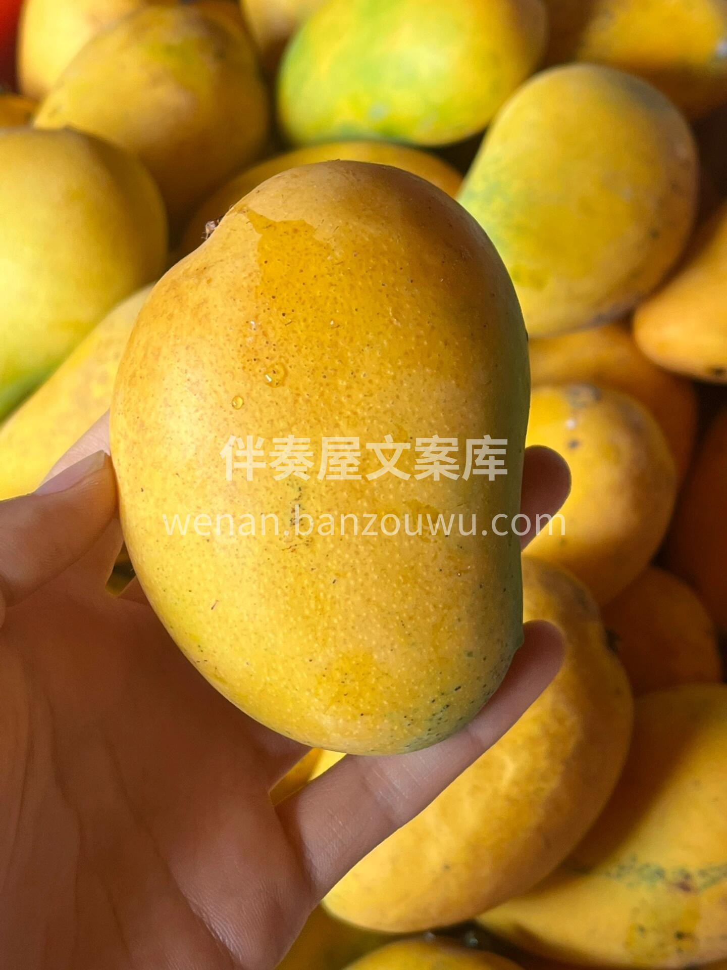 🥭满满的营养精华都在这小小的果子当中呢💕 配图2