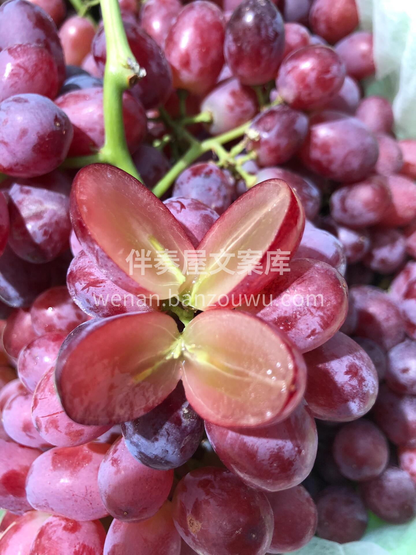 🍇澳洲🇦🇺无籽提😋 ☀️澳洲充沛的阳光打 配图1