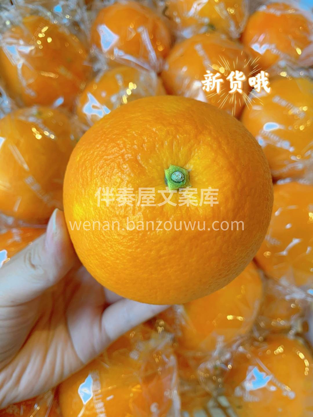 幸福大概就是💗，寒冬已至但是你依然温暖如 配图2