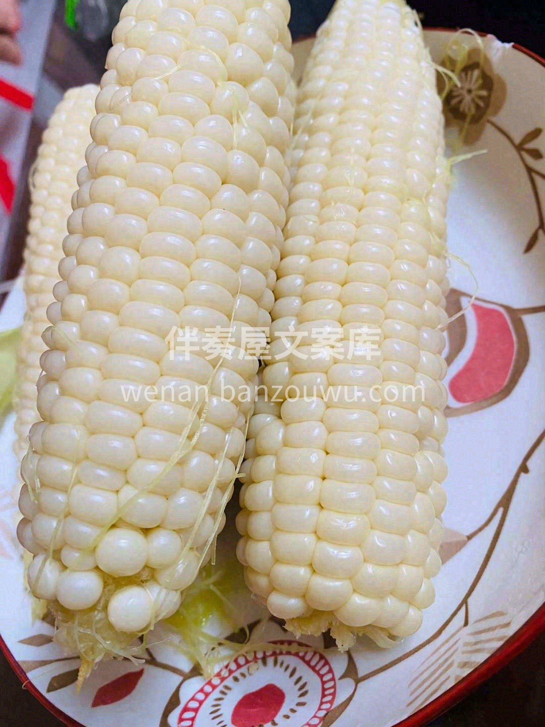 当你用力大咬一口牛奶玉米🌽会发现每一颗玉 配图3
