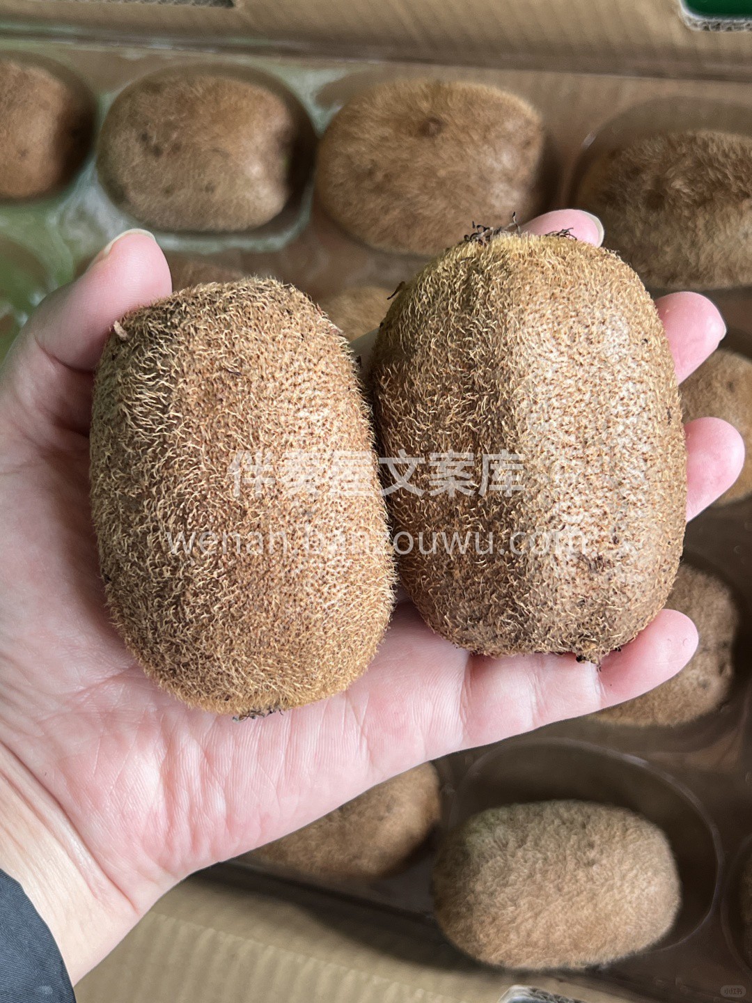 🥝 奇异果太惊喜了，酸甜分明超开胃～ 果 配图3