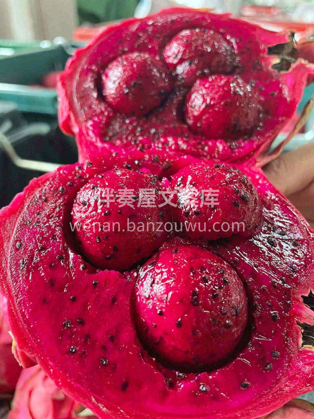 海南蜜宝，通畅润便，排毒养颜‼️ 皮薄到 配图2