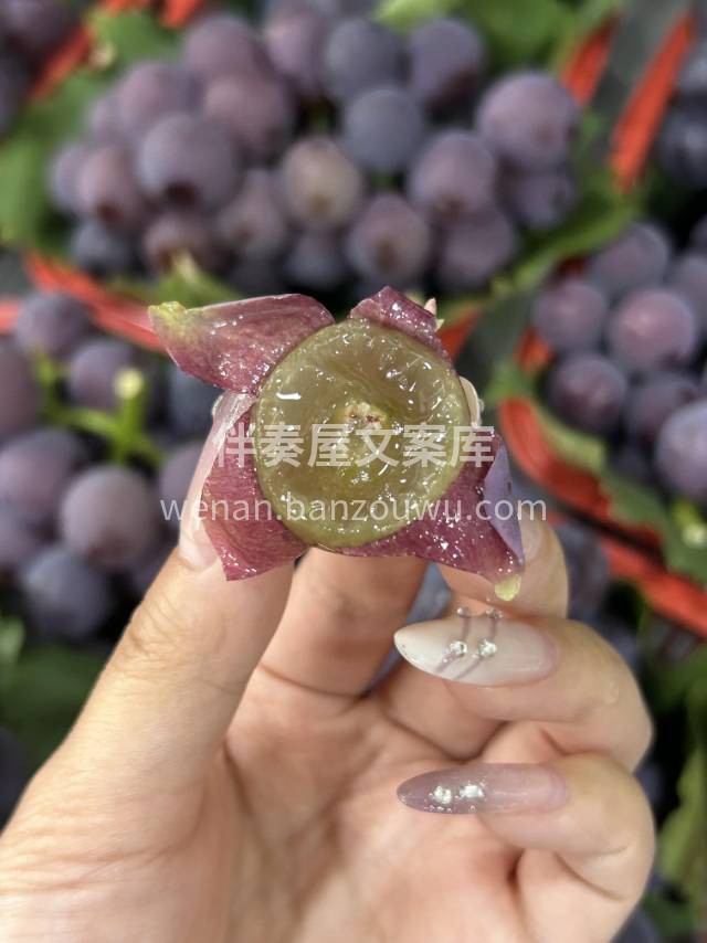 新鲜采摘巨峰葡萄🍇口感Q嫩，果肉水润多汁 配图2