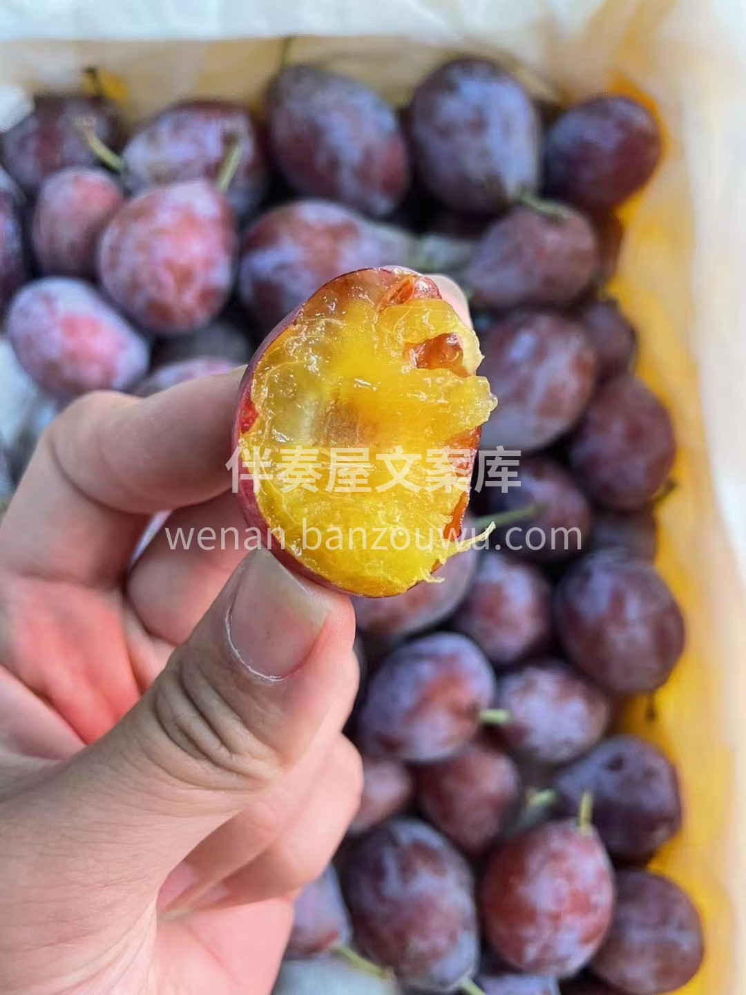 超级推荐这款西梅👏 当下正是西梅的季节， 配图2