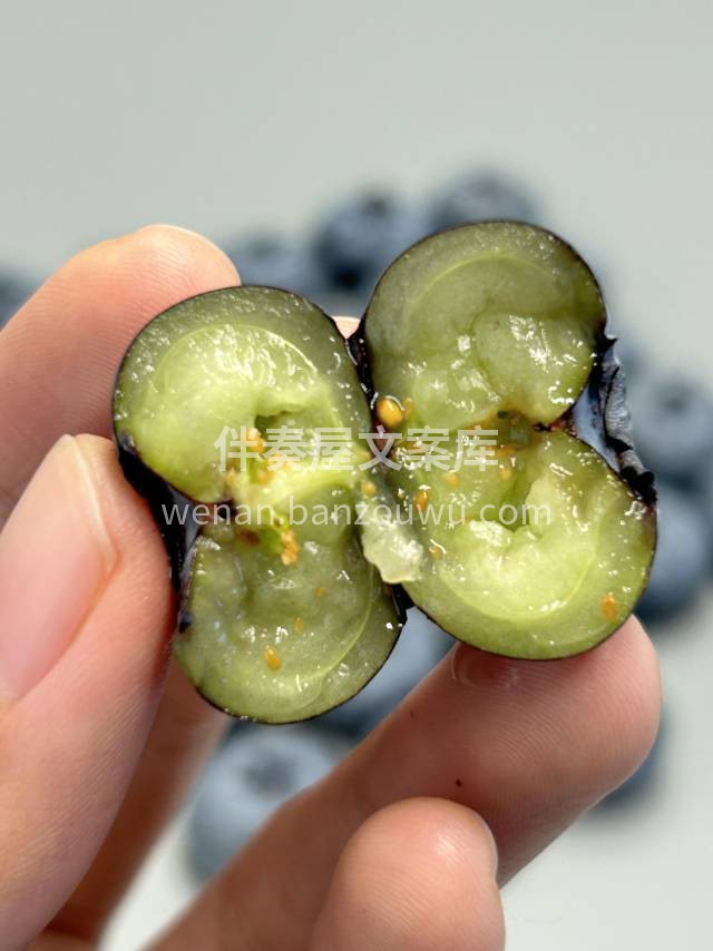 🫐怡颗莓蓝莓～等待多时终于回归🥰 不管在 配图2