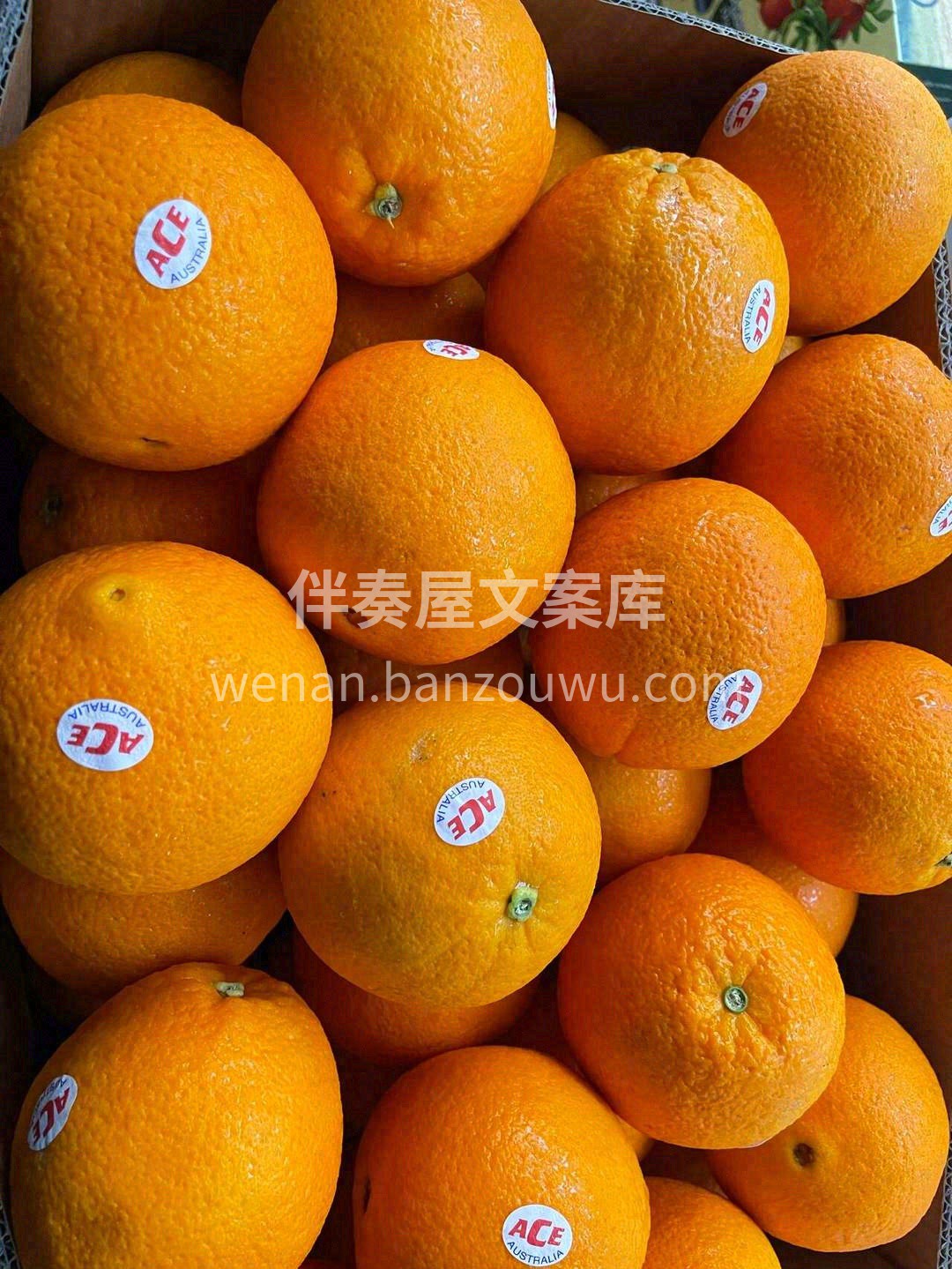 漂洋过海，满足您对橙子的一切幻想🚢 水汪 配图3