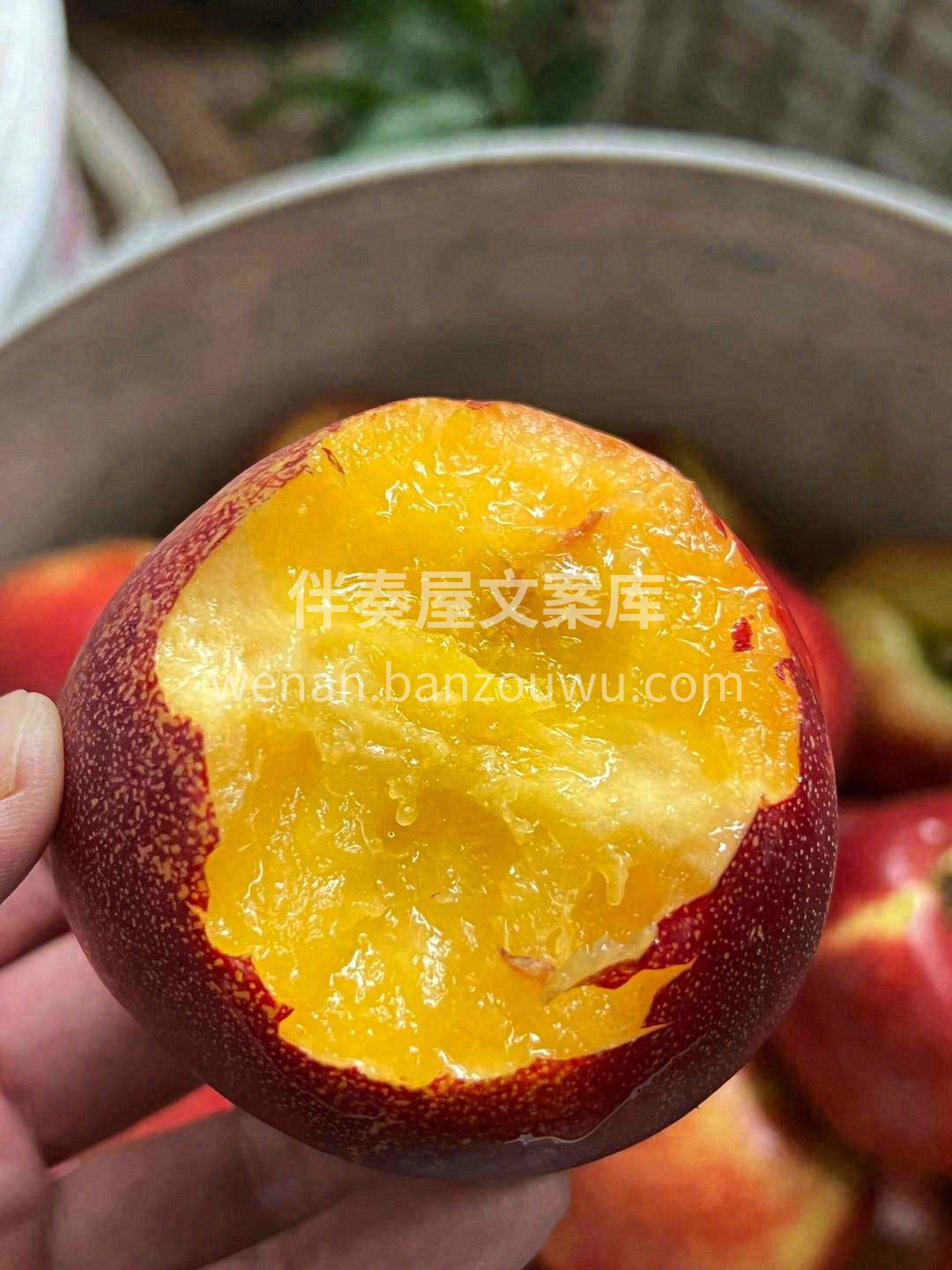 三生三世💍，时间太长🎗️ 十里桃花🌸，路 配图2
