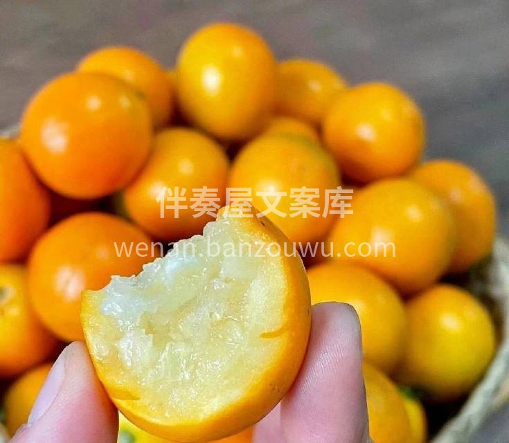 融安滑皮金桔🍊天然洗肺机 每一颗是自然成 配图2