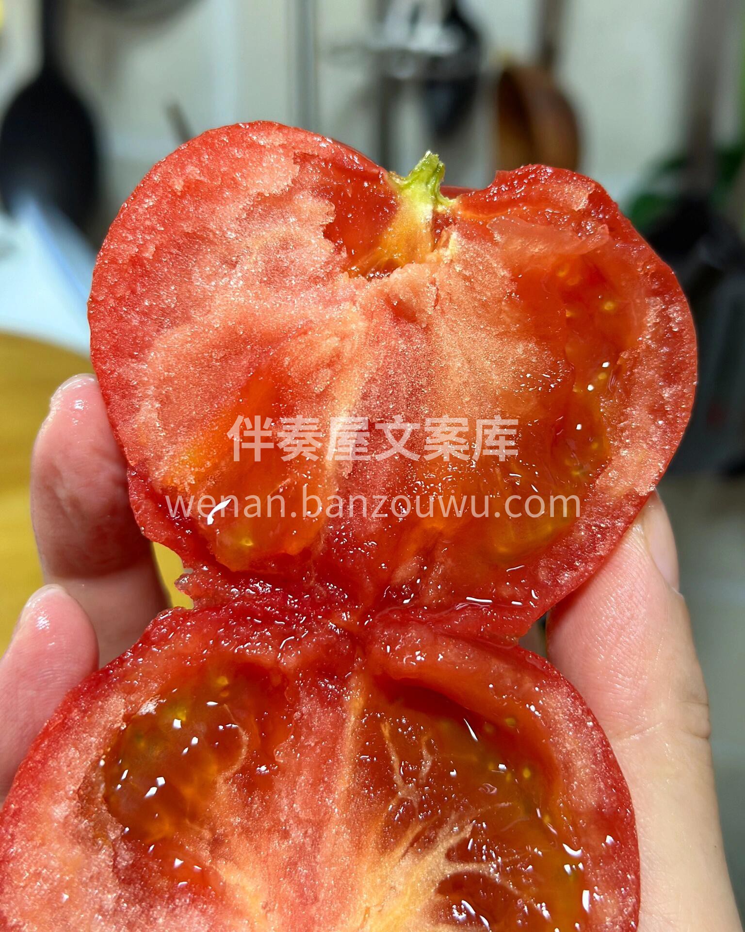 番茄中的战斗机，一口梦回童年🤤 普罗旺斯 配图1