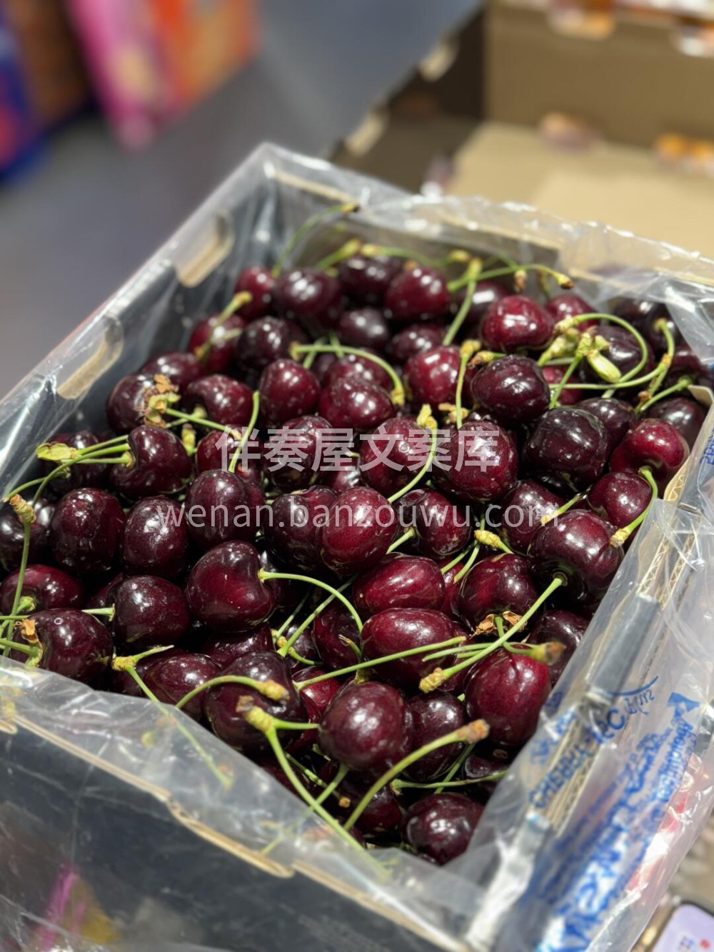 大长腿 _科迪亚Kordia🍒车厘子中排 配图2