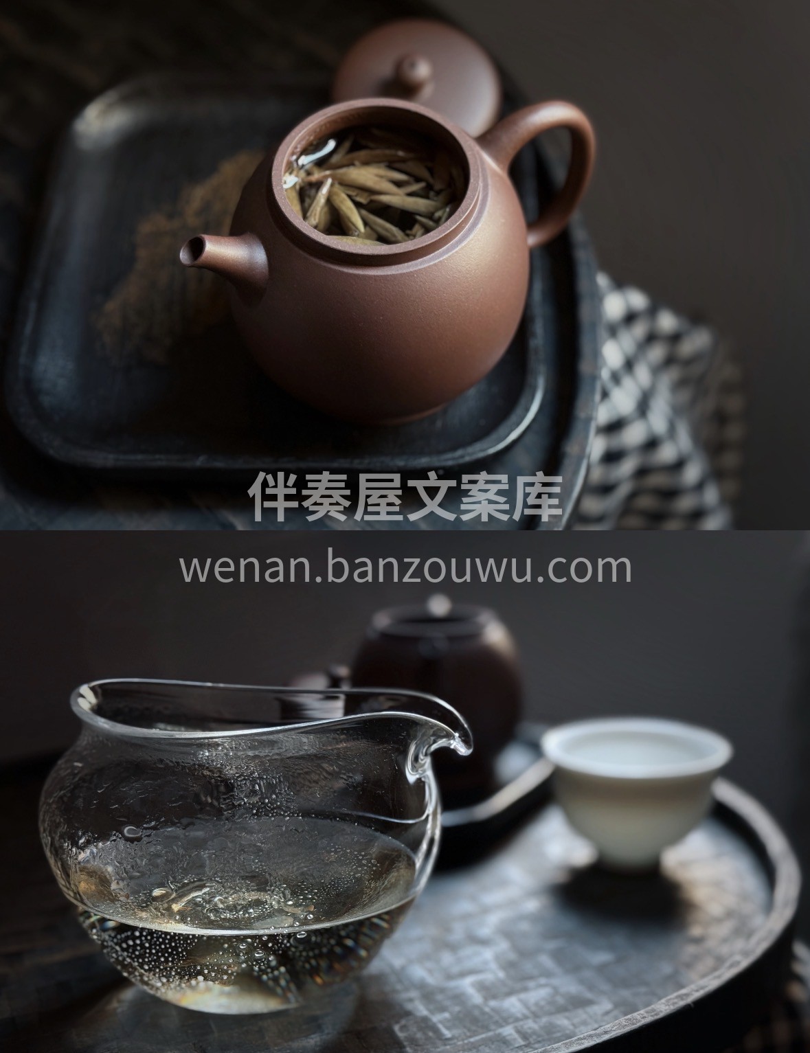 新春年货选茶礼，白毫银针藏清欢✨ 毫香蜜 配图2
