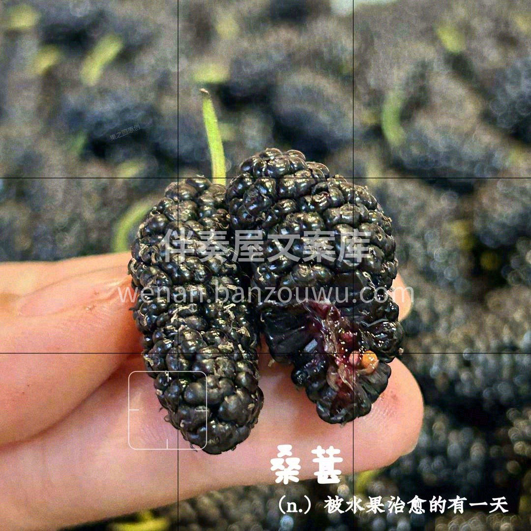 春天最应该吃的一种水果💜 您身边的滋补专 配图1