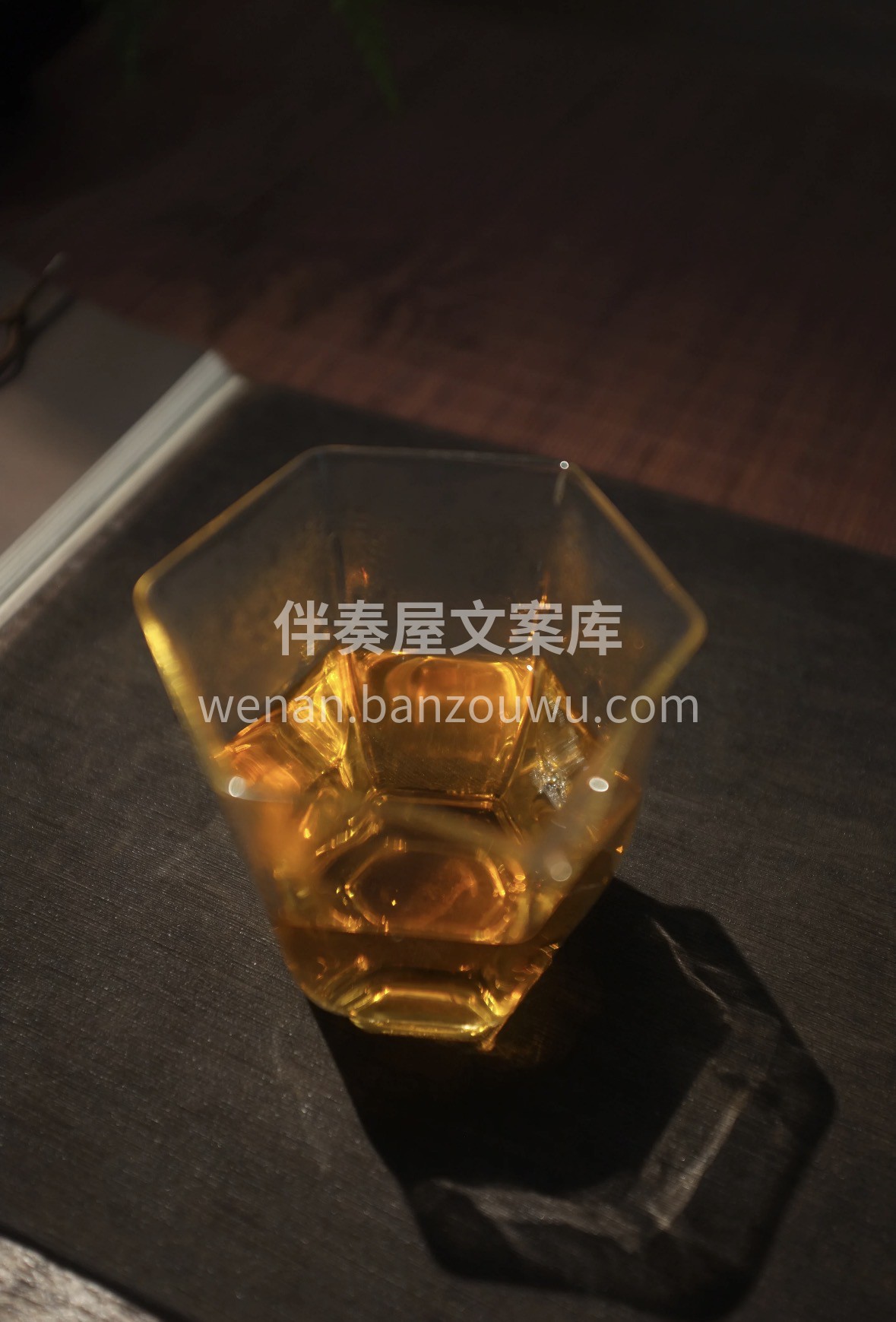 今日茶荐｜倚邦白茶：一口喝下云南古树的清 配图3