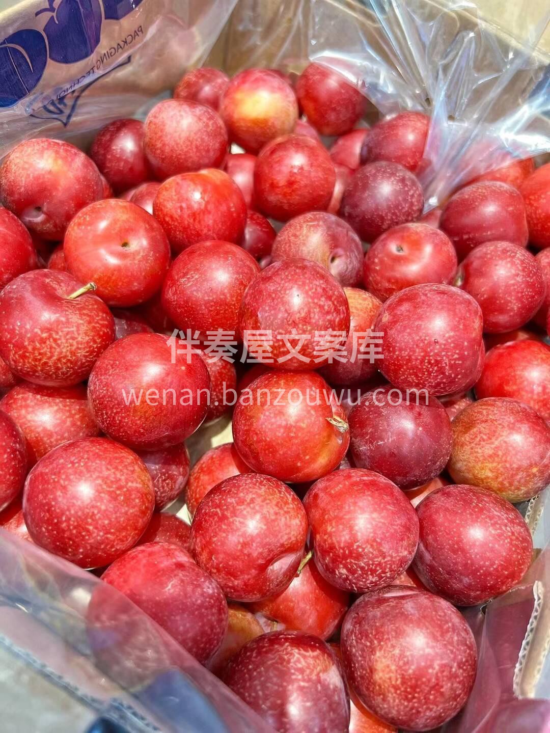 樱桃李🌸最新到货🎉🎉 吃李子的季节啦😘😘 配图2