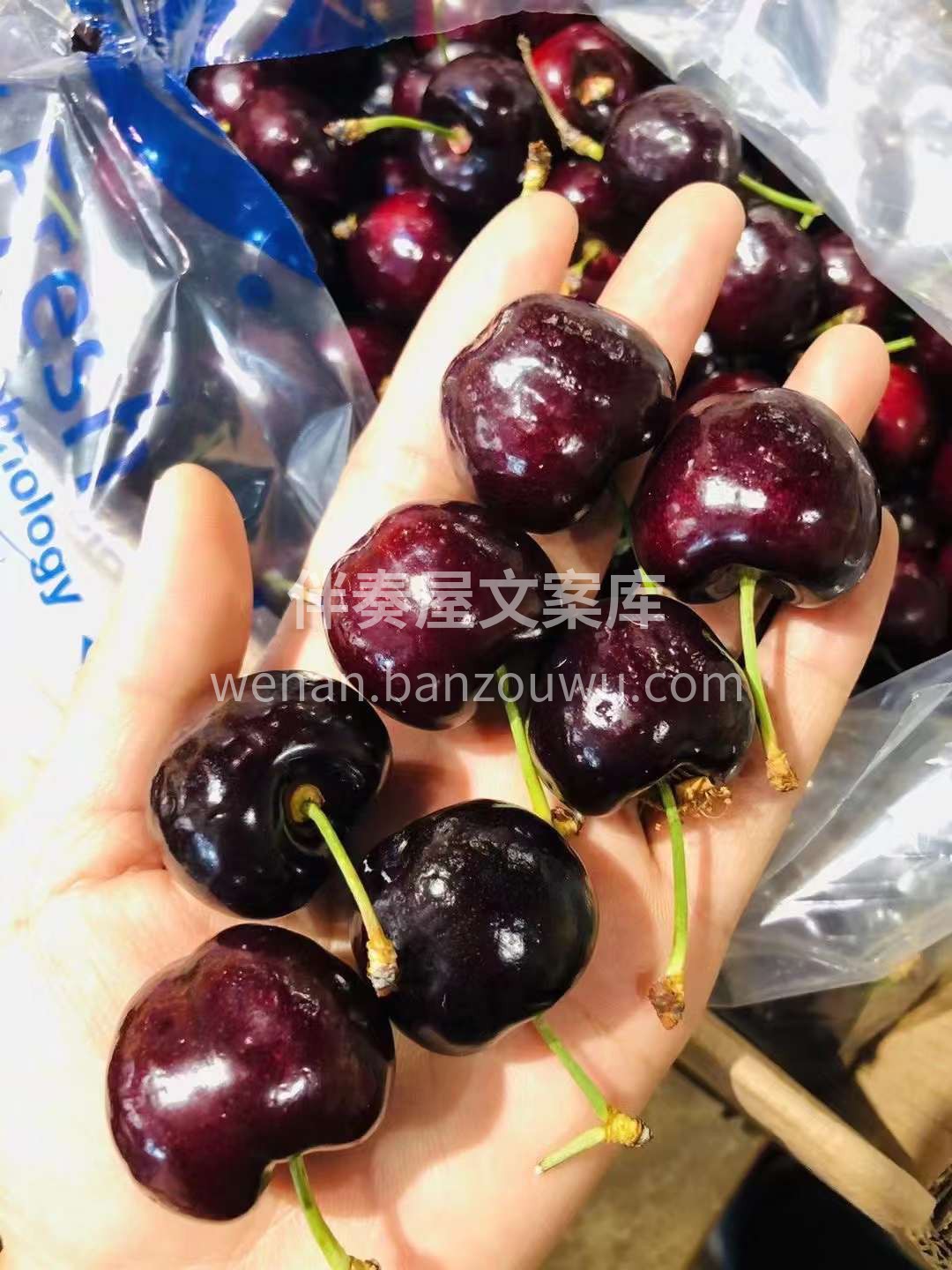 智利车厘子JJJ加黑车厘子，每一颗都是爱 配图1
