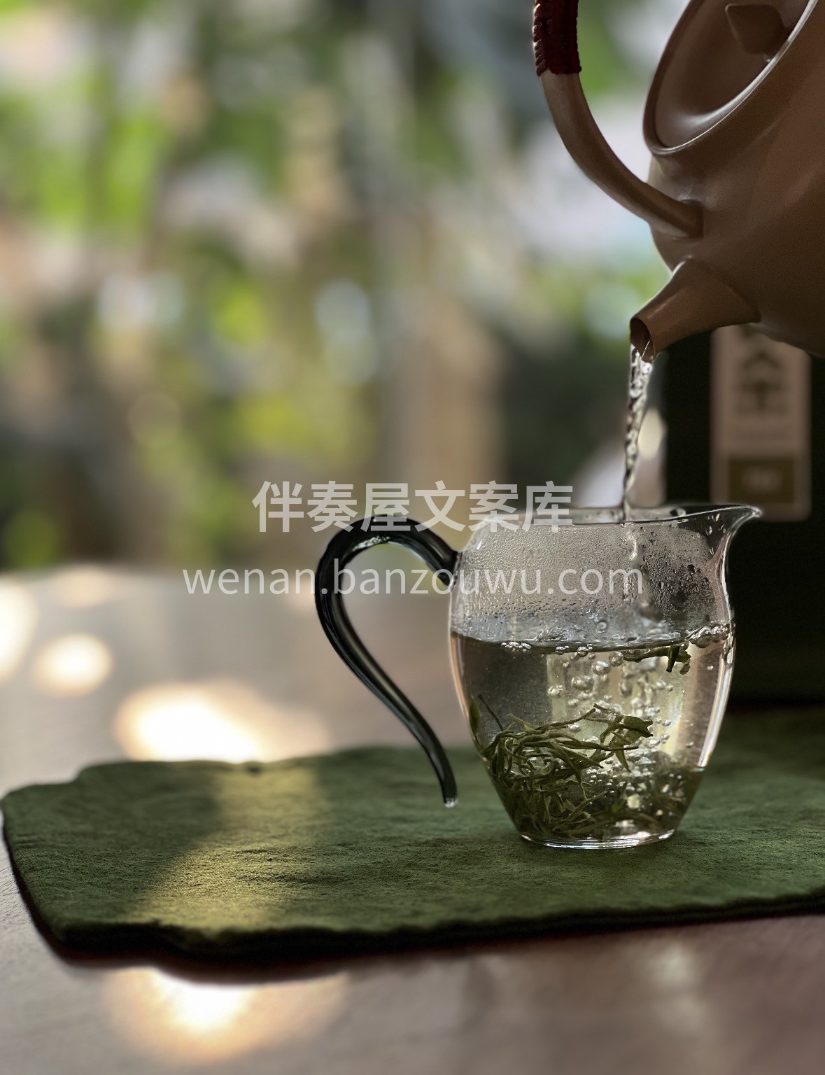 🍵春日限定好茶｜正宗信阳毛尖 高山云雾生 配图2