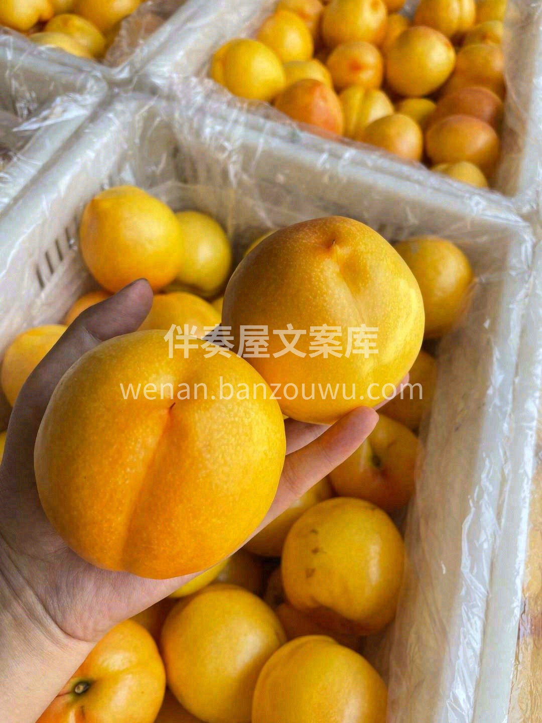 入口的一瞬间，对桃子有了新的定义👍！ 刚 配图2