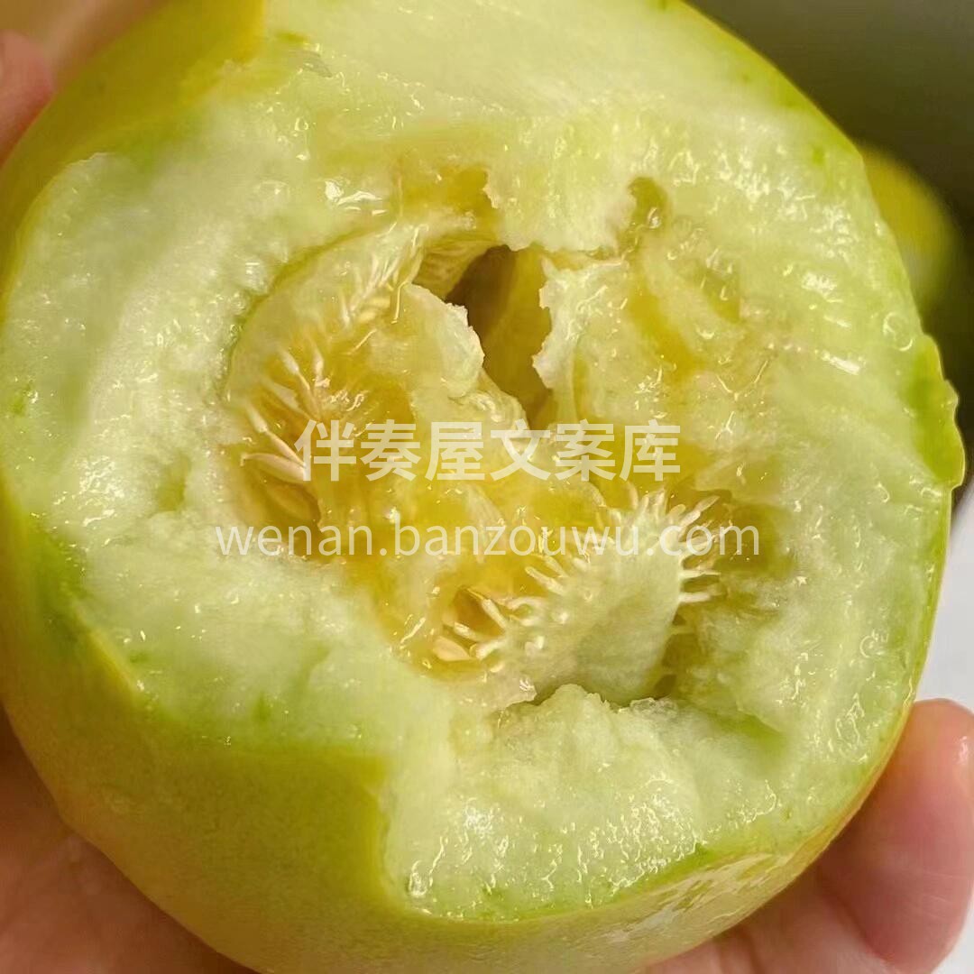 这是什么神仙甜瓜😋马连庄超甜香瓜～ 超级 配图3
