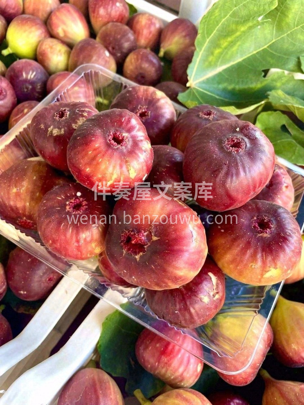 🌸无花果是生活的甜蜜源泉，长在树上的“糖 配图1