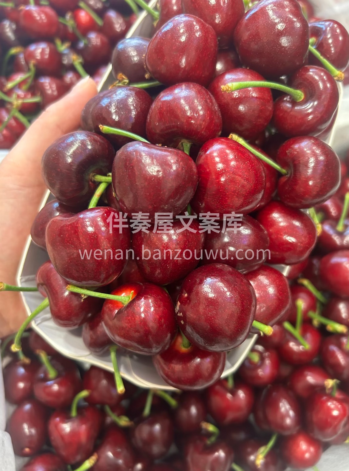 应季爆款🔥 🔥 饱满爆汁的车厘子🍒 ，水 配图3
