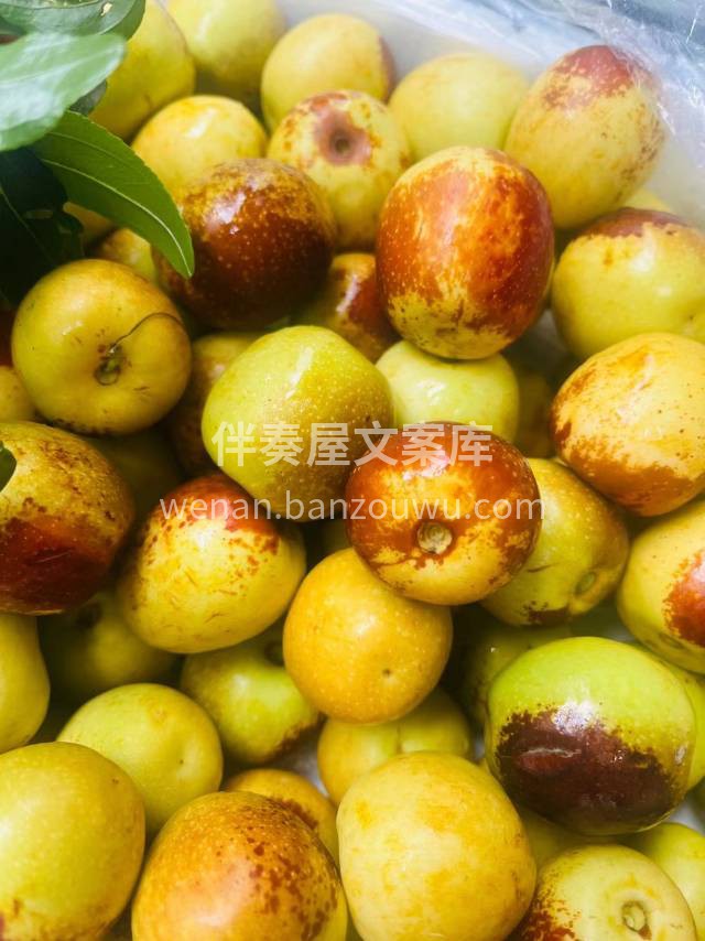 大荔冬枣，让你吃一口就上瘾，每一颗都“甘 配图3
