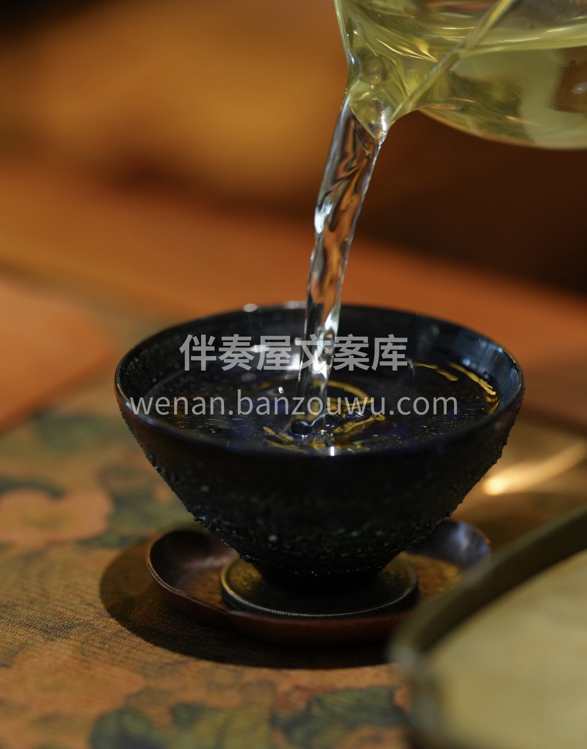 春风入茶山，安吉白茶头采上新。叶白脉翠， 配图3