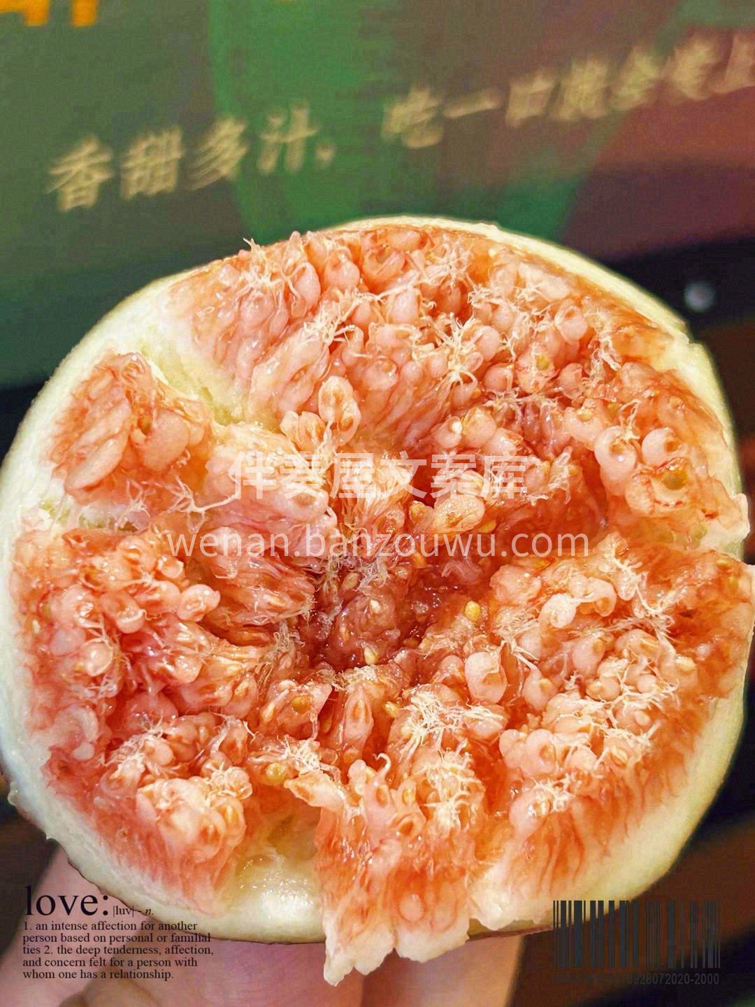 挂在🌳树上的“糖包子” 咬一口满嘴流蜜🥰 配图1