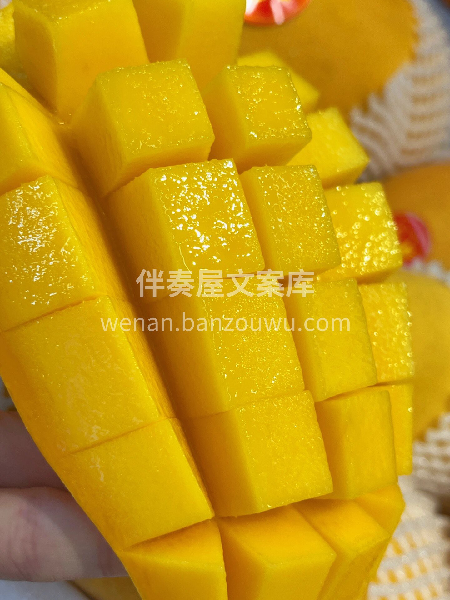 🌈夏天一到，就开始想念芒果的味道了😍 海 配图3