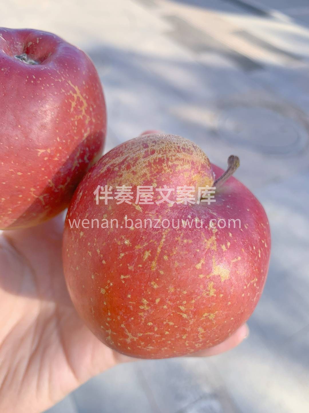 🙋业内挑苹果有个不成文的秘诀，长得不太好 配图1