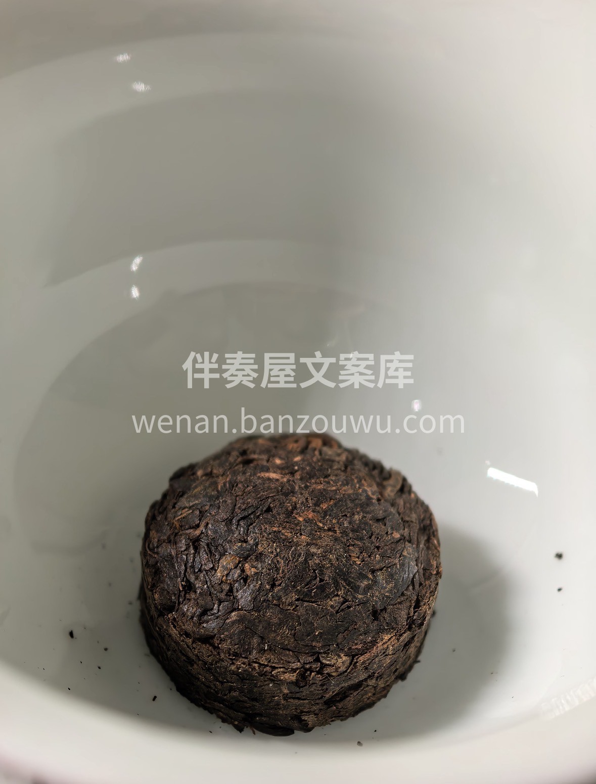 春日饮熟普，温润不寒，养出好状态🌿 古树 配图1