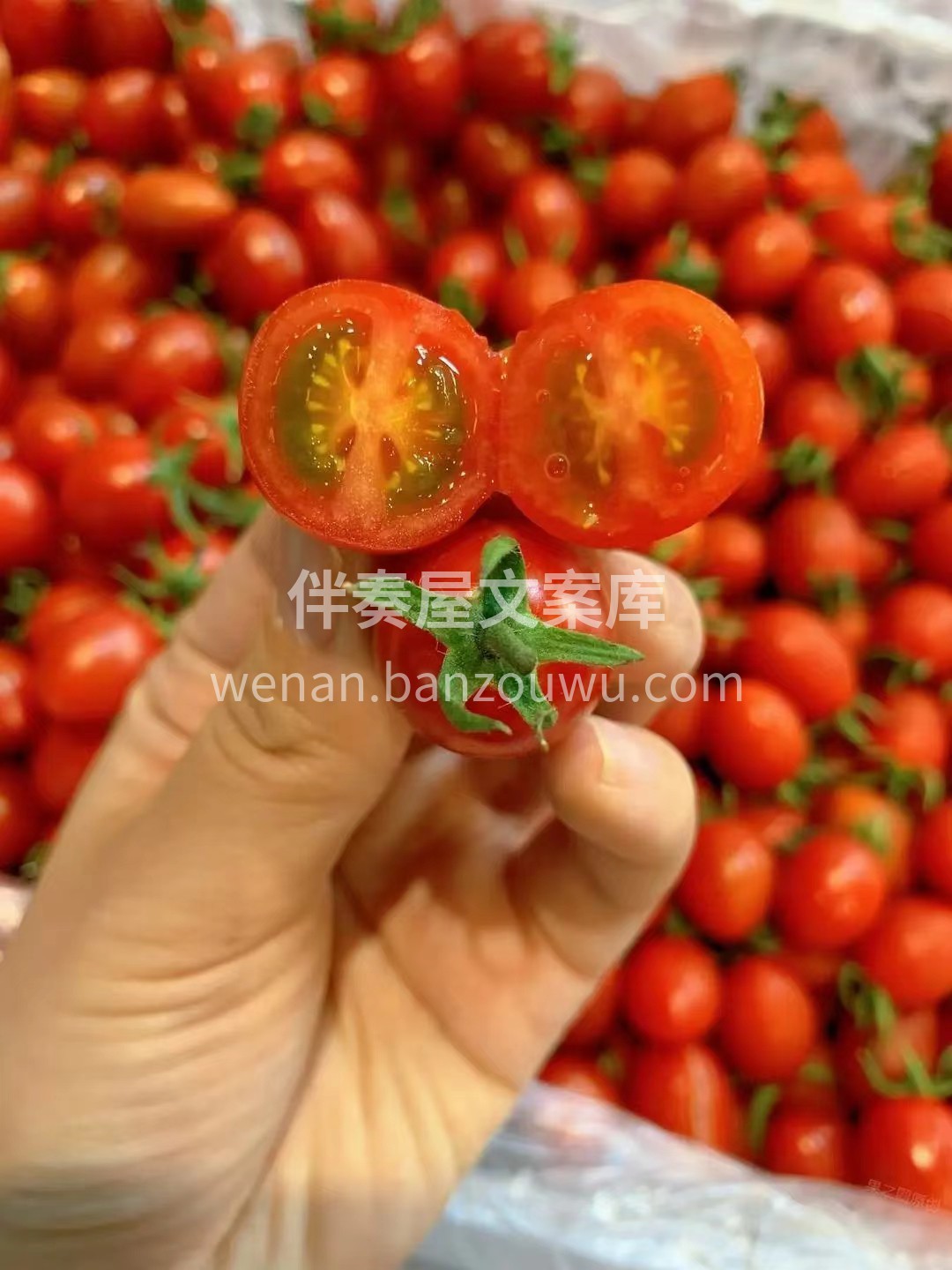 好吃的小柿子！一咬就爆汁💧💧！ 【玲珑千 配图3