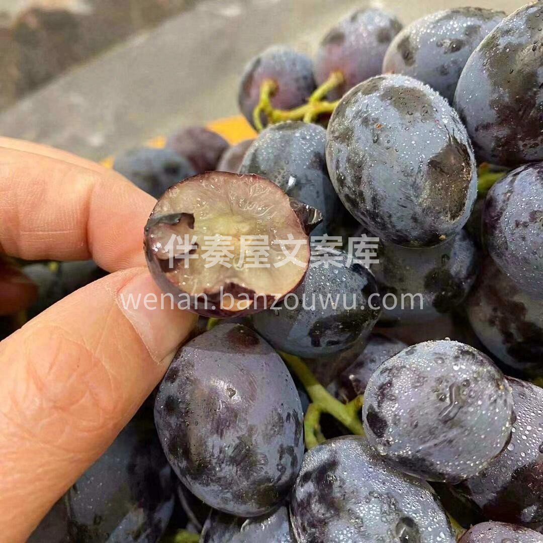 这个黑提🍇真的很好吃！快来买～ 脆甜口， 配图1