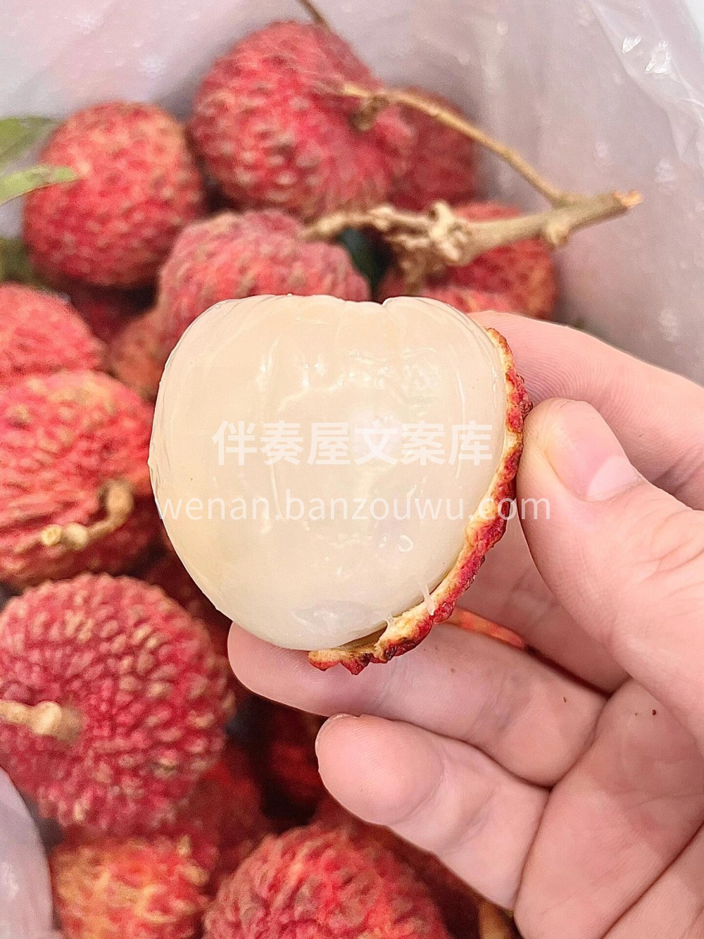 荔枝届的巨星🥰每年只有这一个月里可以一睹 配图1