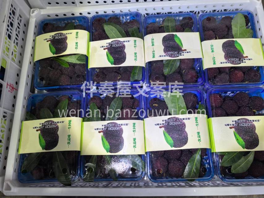 “人间至味，夏有杨梅” 夏天到啦，杨梅季 配图3