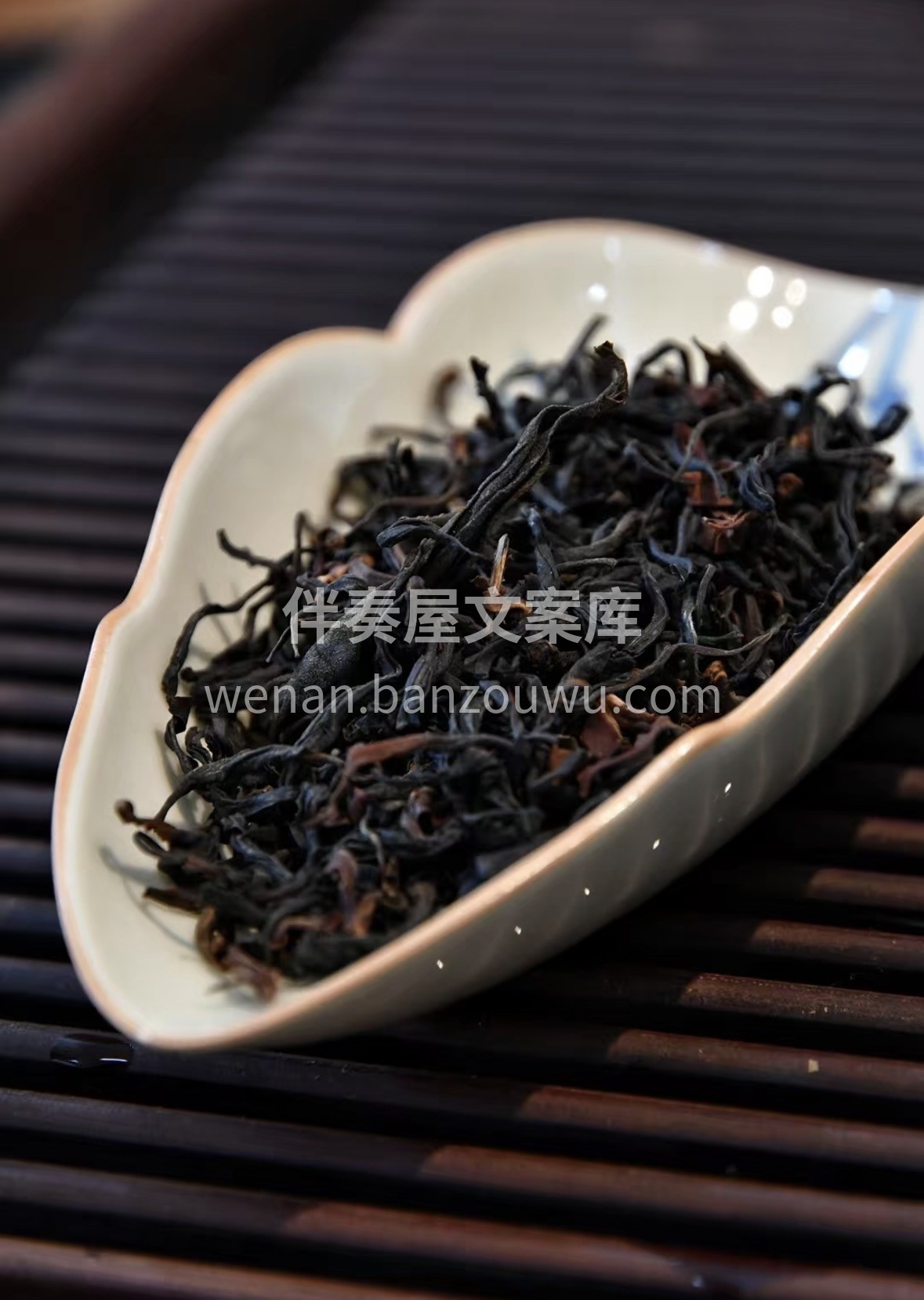 2025 早春野生红茶🍵 冬❄️日的多巴 配图1