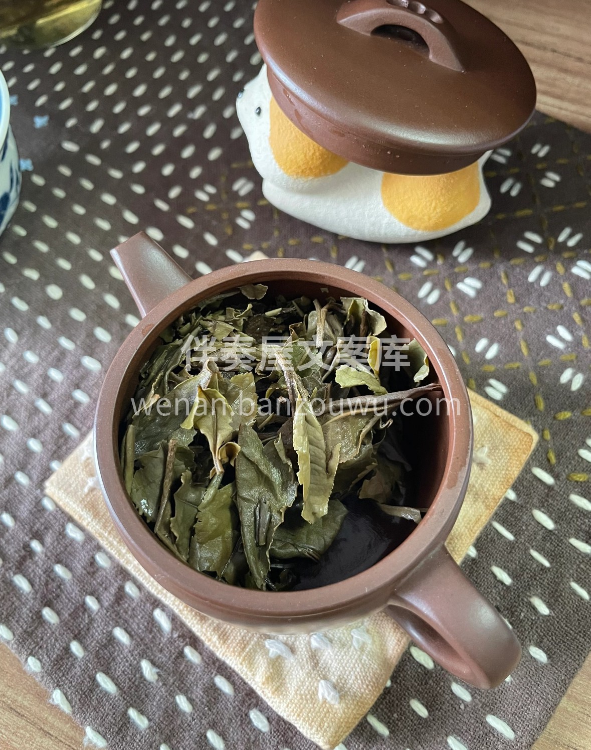 晨露凝香的白牡丹，芽叶抱蕊如仙子翩跹。浅 配图2