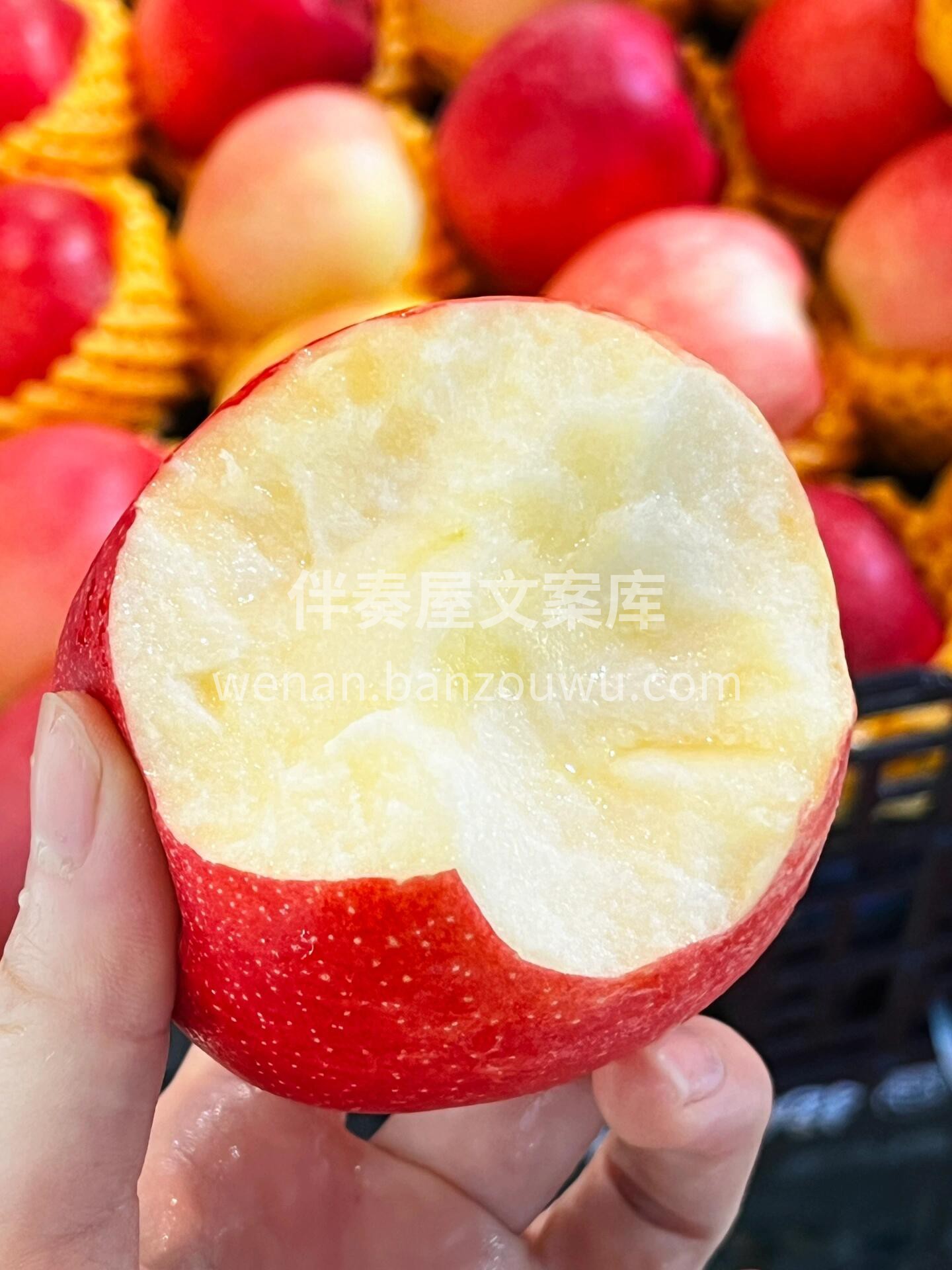‬🎉‬新西兰红‬玫‬瑰‬苹‬果‬🍎‬ ‬ 配图2