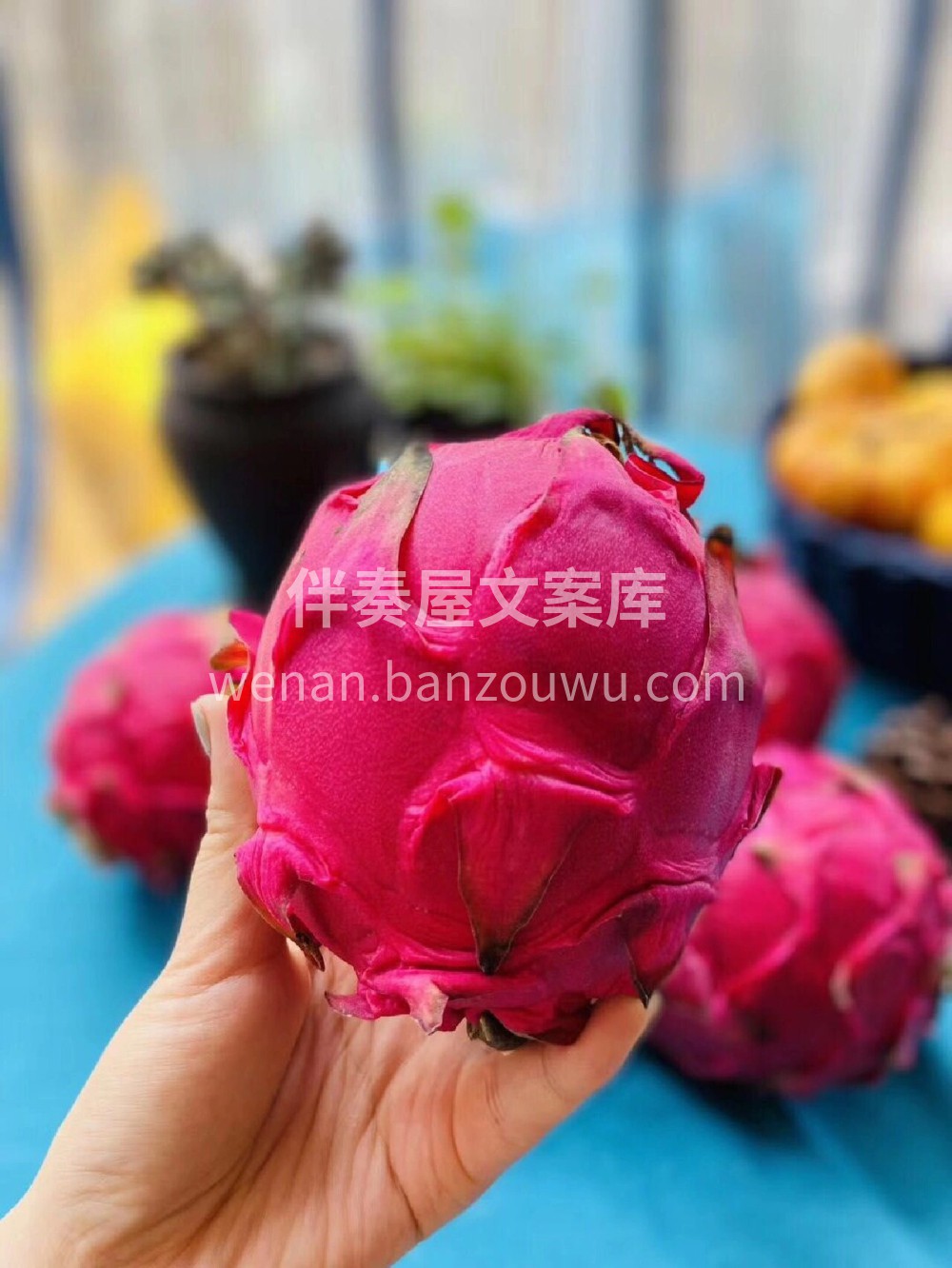红心火龙果🌵，甜甜的可好吃😋了～ 香甜饱 配图1