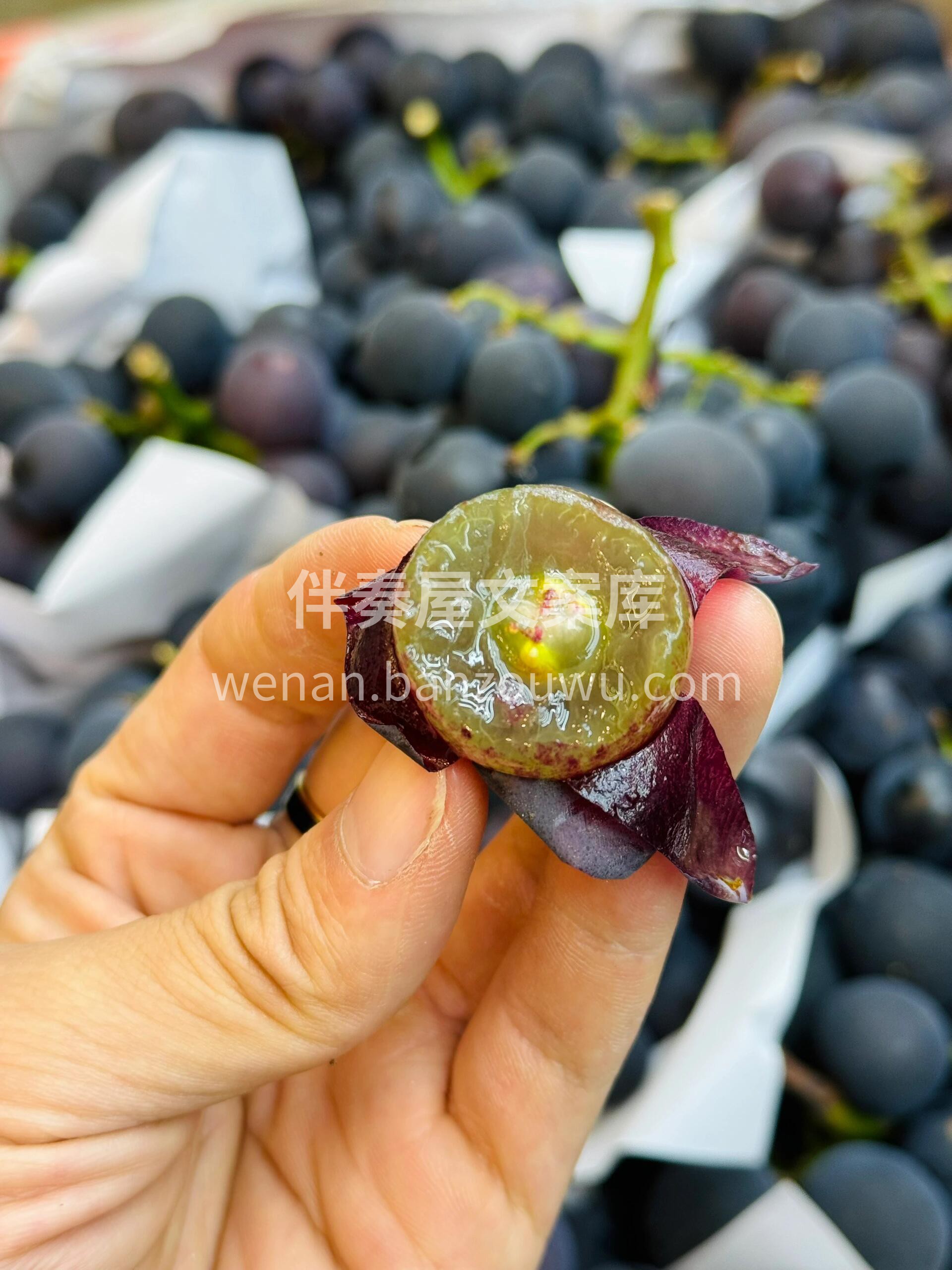 巨峰葡萄🍇好吃惨了😍 吃了这么多次葡萄🍇 配图1