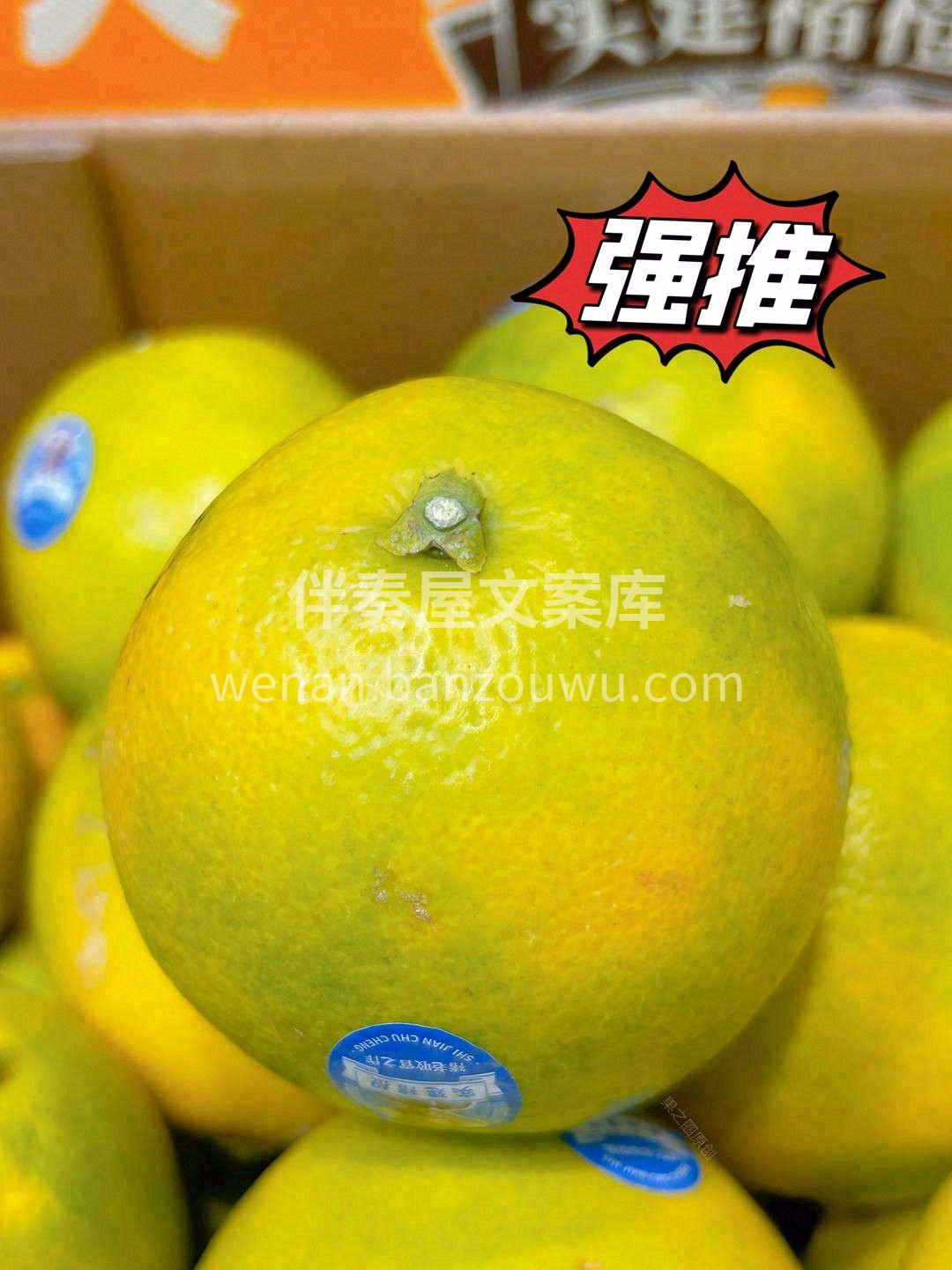 最值得期待的水果——褚橙新鲜到货💌 向大 配图3